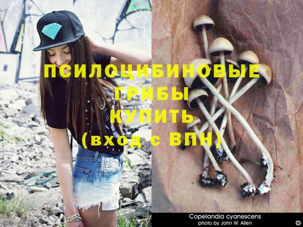 спиды Ладушкин