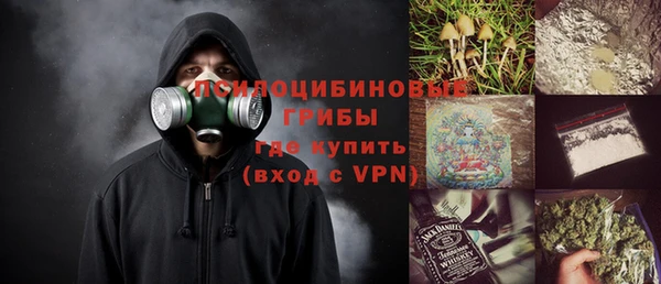 спиды Ладушкин